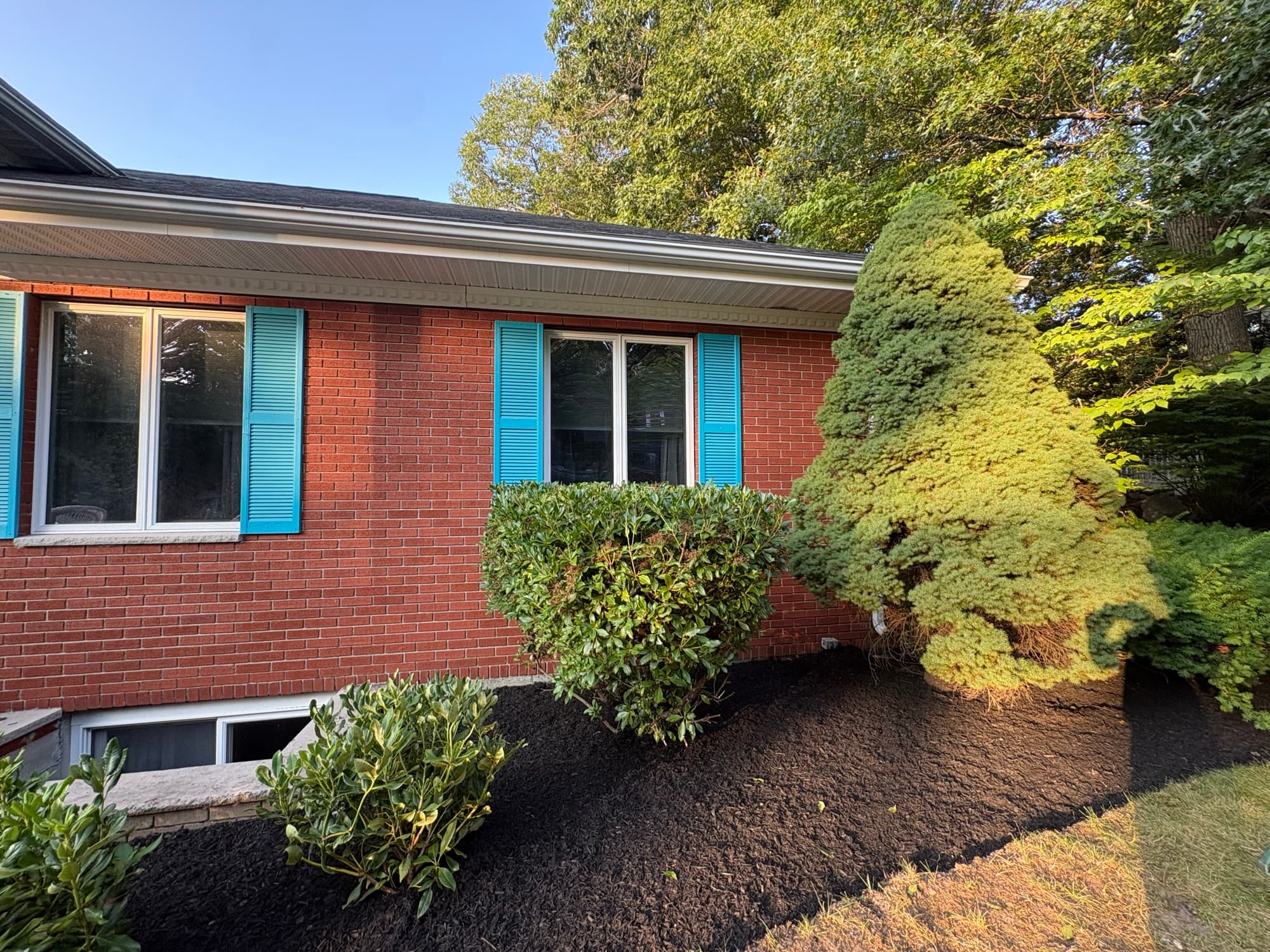 Freshly mulched foundation beds along a brick house with blue shutters