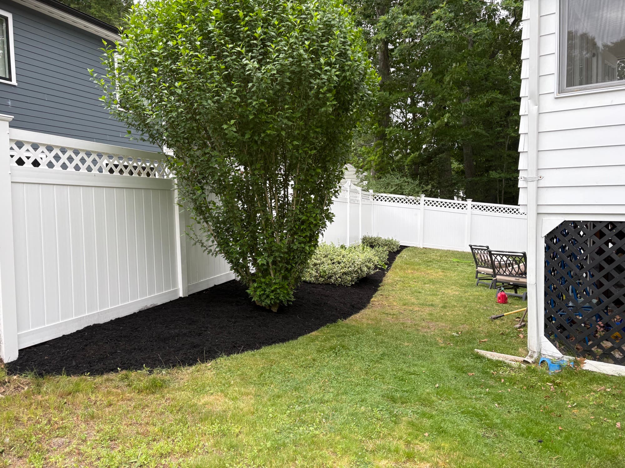 Black mulch bed wrapping a mature shrub along a white vinyl fence
